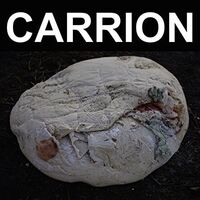 Recitation - Carrion vinyl cover