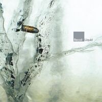Recoil - Liquid vinyl cover