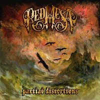 Red Mesa - Partial Distortions vinyl cover