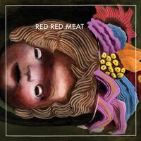 Red Red Meat - Bunny Gets Paid (Violet & Orange) vinyl cover