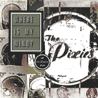 Reel Big Fish - Where Is My Mind? A Tribute To The Pixies vinyl cover