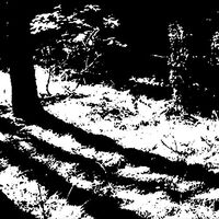 Reggy Van Oers - Transcranial vinyl cover