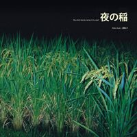 Reiko Kudo - Rice Field Silently Riping In The Night vinyl cover