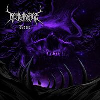 Reincarnage - Reap vinyl cover