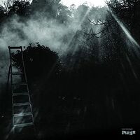 Reinhold Friedl & Eryck Abecassis - Animal Electrique vinyl cover