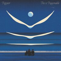 Rejoicer - This Is Reasonable vinyl cover