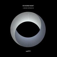 Rekombinant - A Bridge Between Us vinyl cover