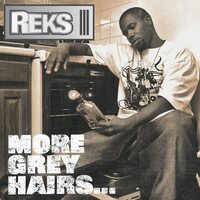 Reks - More Grey Hairs vinyl cover