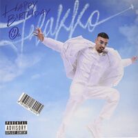 Rels B - Happy Birthday Flakko vinyl cover