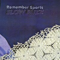 Remember Sports - Slow Buzz vinyl cover