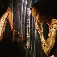 Renounced - Beauty Is A Destructive Angel vinyl cover
