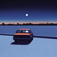 Requin Chagrin - Bye Bye Baby vinyl cover