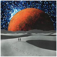 Retirement Party - Runaway Dog vinyl cover