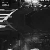 Reto A Ichi - Lapse Of The Exchange vinyl cover