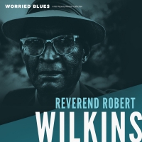 Reverend Robert Wilkins - Worried Blues vinyl cover