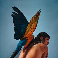 Reyna Tropical - Malegria vinyl cover