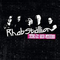 Rhabstallion - Back In The Saddle vinyl cover