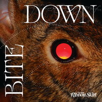 Ribbon Skirt - Bite Down vinyl cover