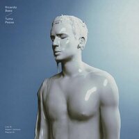 Ricardo Baez - Tutto Passa vinyl cover