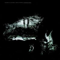 Ricardo & Rohrer Villalobos - Microgestures vinyl cover