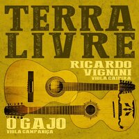 Ricardo Vignini - Terra Livre vinyl cover