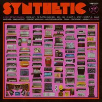 Rich Aucoin - Synthetic 4 vinyl cover