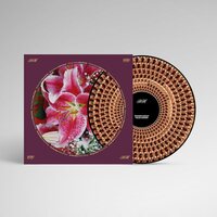 Richard Hawley - Coles Corner: 20th Anniversary (Half-Speed Mastered; Zoetrope Picture Disc) vinyl cover