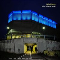 Richard Hawley - In This City They Call You Love vinyl cover