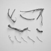 Richard Skelton - These Charms May Be Sung Over A Wound vinyl cover