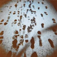 Richard Youngs - Ein Klein Nein vinyl cover