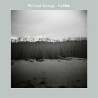Richard Youngs - Hidden vinyl cover