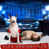 Rick Springfield - Big Hits: Rick Springfield's Greatest Hits, Vol. 2 vinyl cover