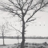 Rico Friebe - Maintenant vinyl cover