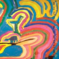 Rico Puestel - Floridica vinyl cover