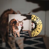 Riley! - Keep Your Cool vinyl cover