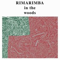 Rimarimba - In The Woods vinyl cover