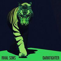Rival Sons - Darkfighter vinyl cover