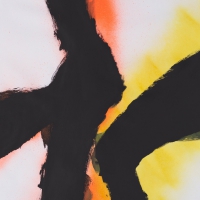 Rob / Emmett Kelly Mazurek - Alien Flower Sutra vinyl cover