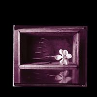 Rob & Kramer Crow - Hymns vinyl cover