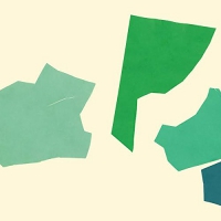 Rob Shields - Green vinyl cover