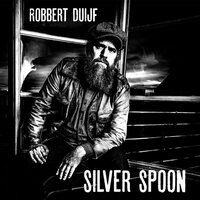 Robbert Duijf - Silver Spoon (Clear) vinyl cover