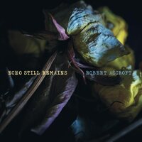 Robert Ascroft - Echo Still Remains (Custard) vinyl cover