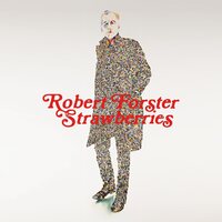 Robert Forster - Strawberries vinyl cover