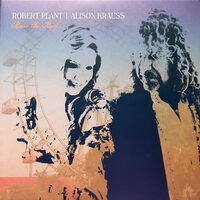 Robert Plant and Alison Krauss - Raise The Roof vinyl cover
