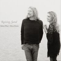 Robert Plant - Raising Sand vinyl cover