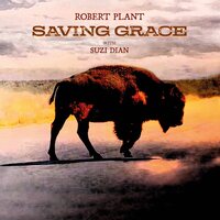 Robert Plant - Saving Grace vinyl cover