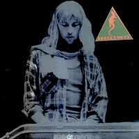 Robert Wood & Woodlands - Live At Lons Le Saulnier 1974 vinyl cover