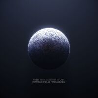Robot Koch & Savannah Jo Lack - Particle Fields / Reimagined vinyl cover