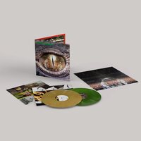 Rodrigo y Gabriela - ROdrigo Y Gabriela (20Th Anniversary) vinyl cover