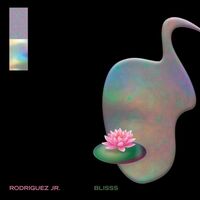 Rodriguez Jr - Blisss vinyl cover